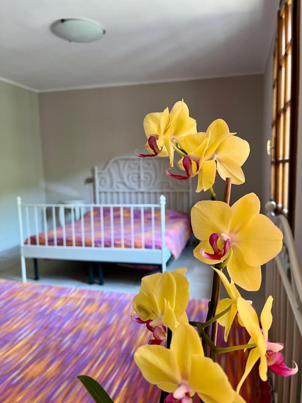 B&B Aria Di Lago Paratico Dış mekan fotoğraf
